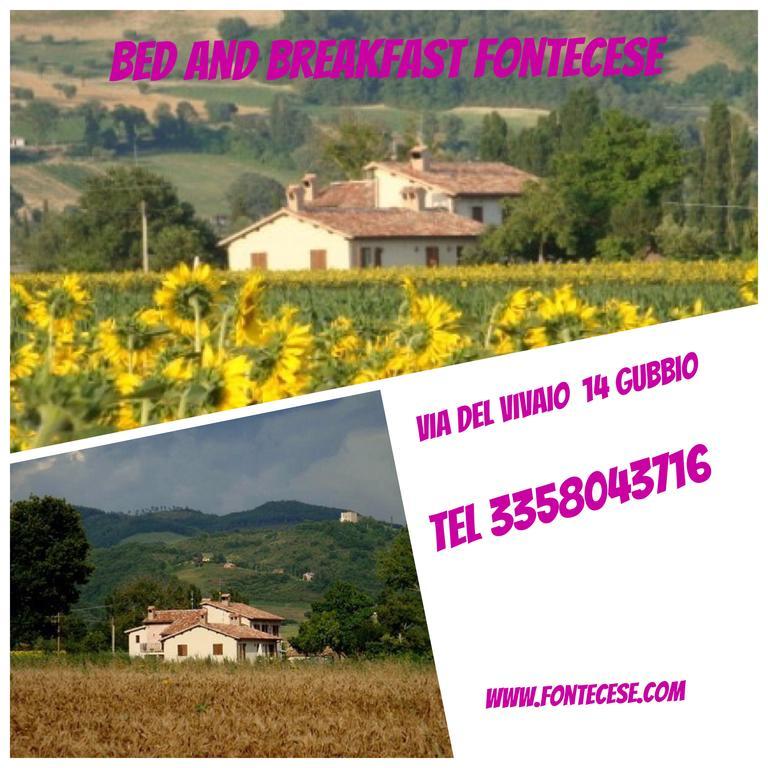 Fontecese Aparthotel Gubbio Kültér fotó