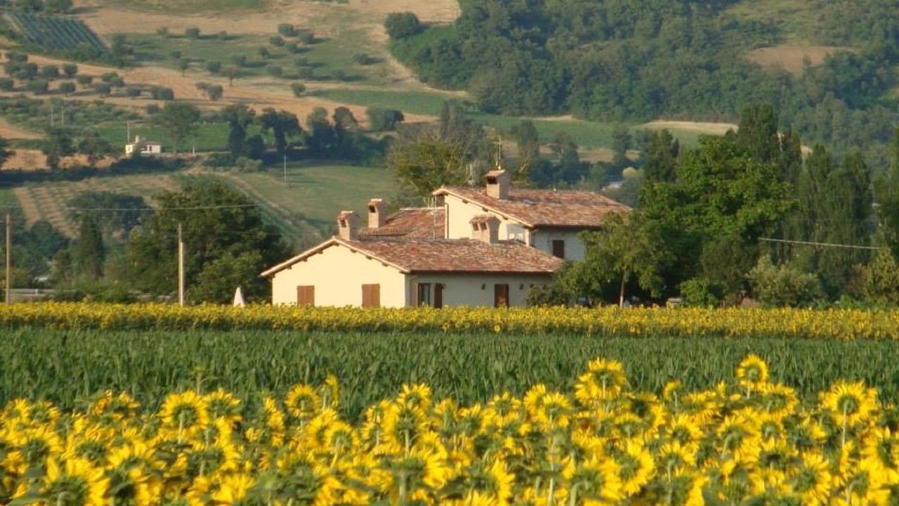 Fontecese Aparthotel Gubbio Kültér fotó